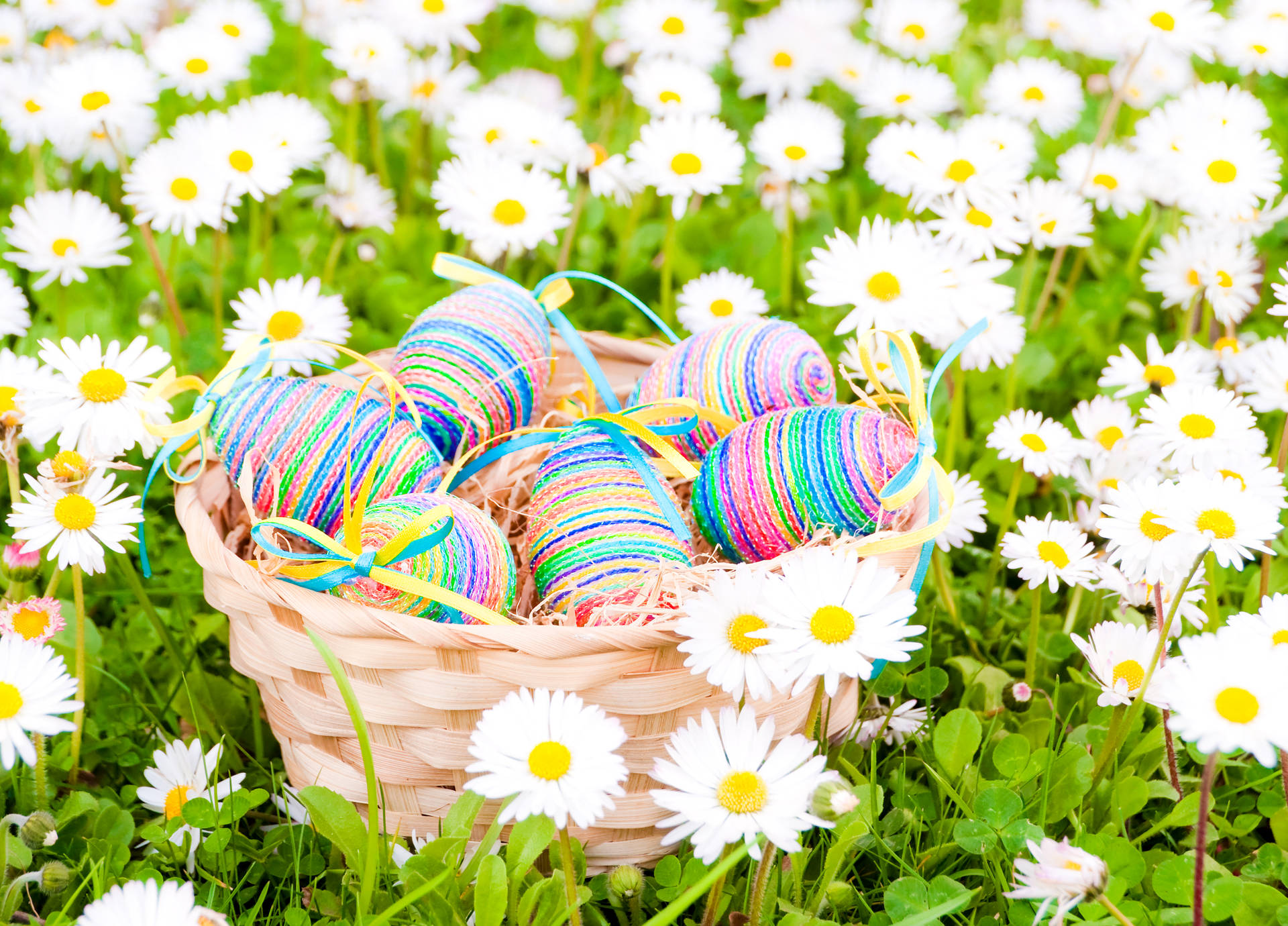 Cute Easter Egg Daisy Background