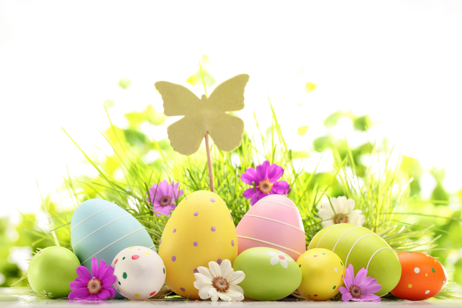 Cute Easter Eggs And Butterfly Background