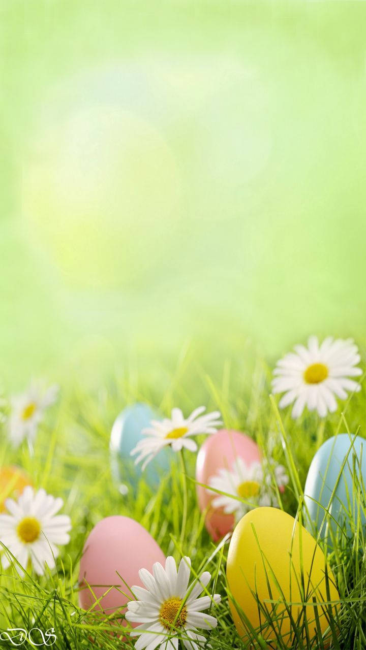Cute Easter Eggs Background