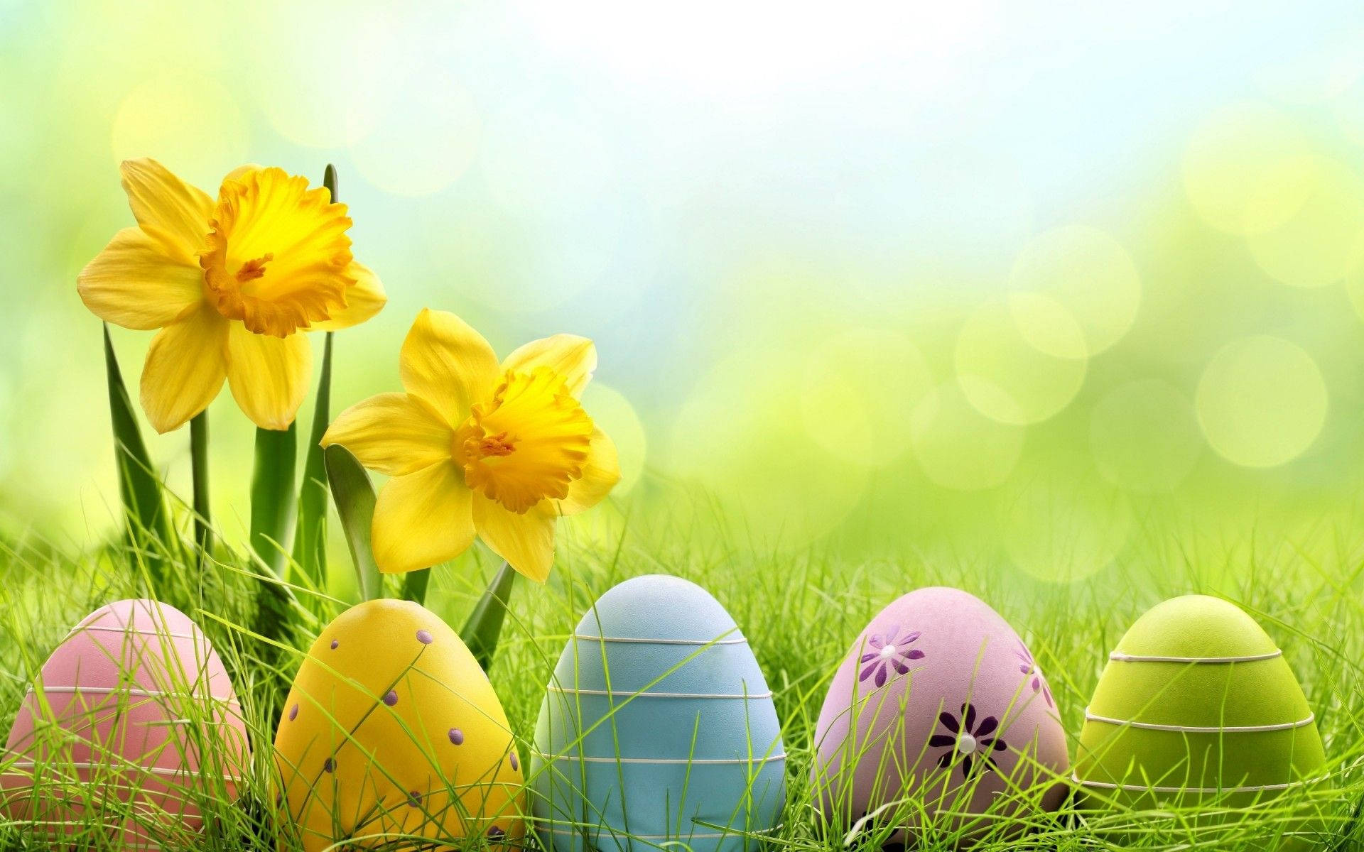 Cute Easter Flowers And Eggs Background