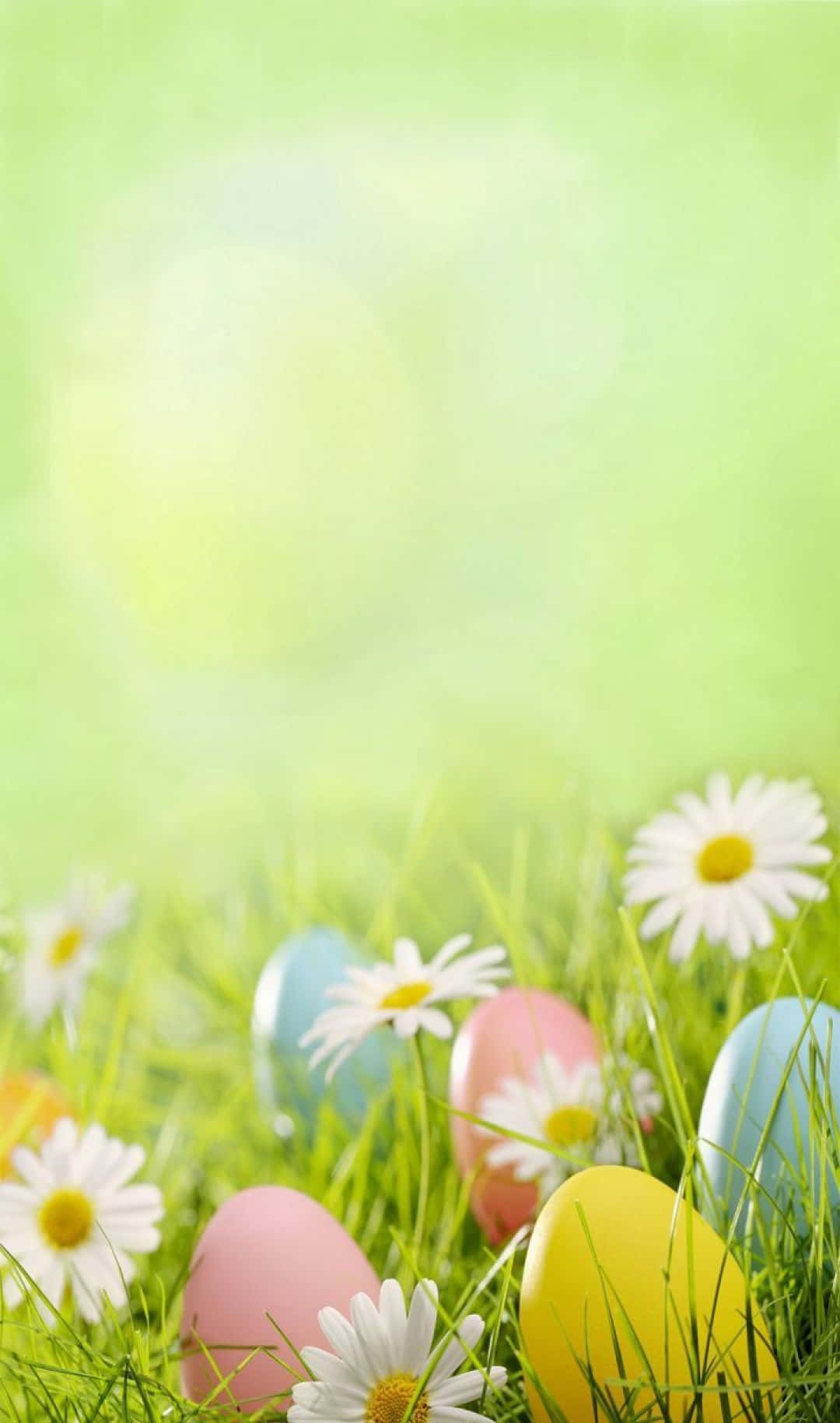 Cute Easter Iphone With Eggs On Grass Background