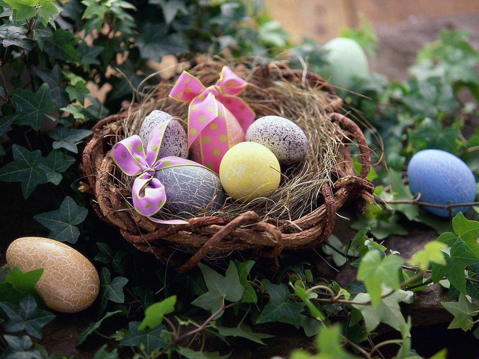 Cute Easter Nest Background
