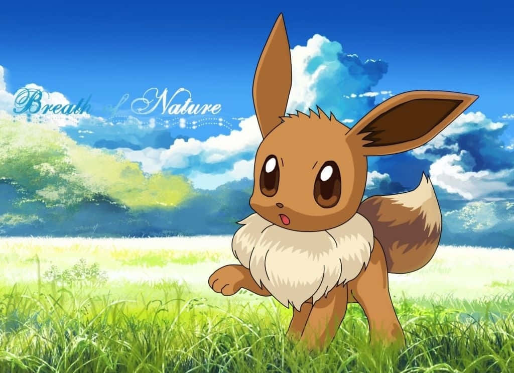 Cute Eevee On Grass Field Pokemon Background
