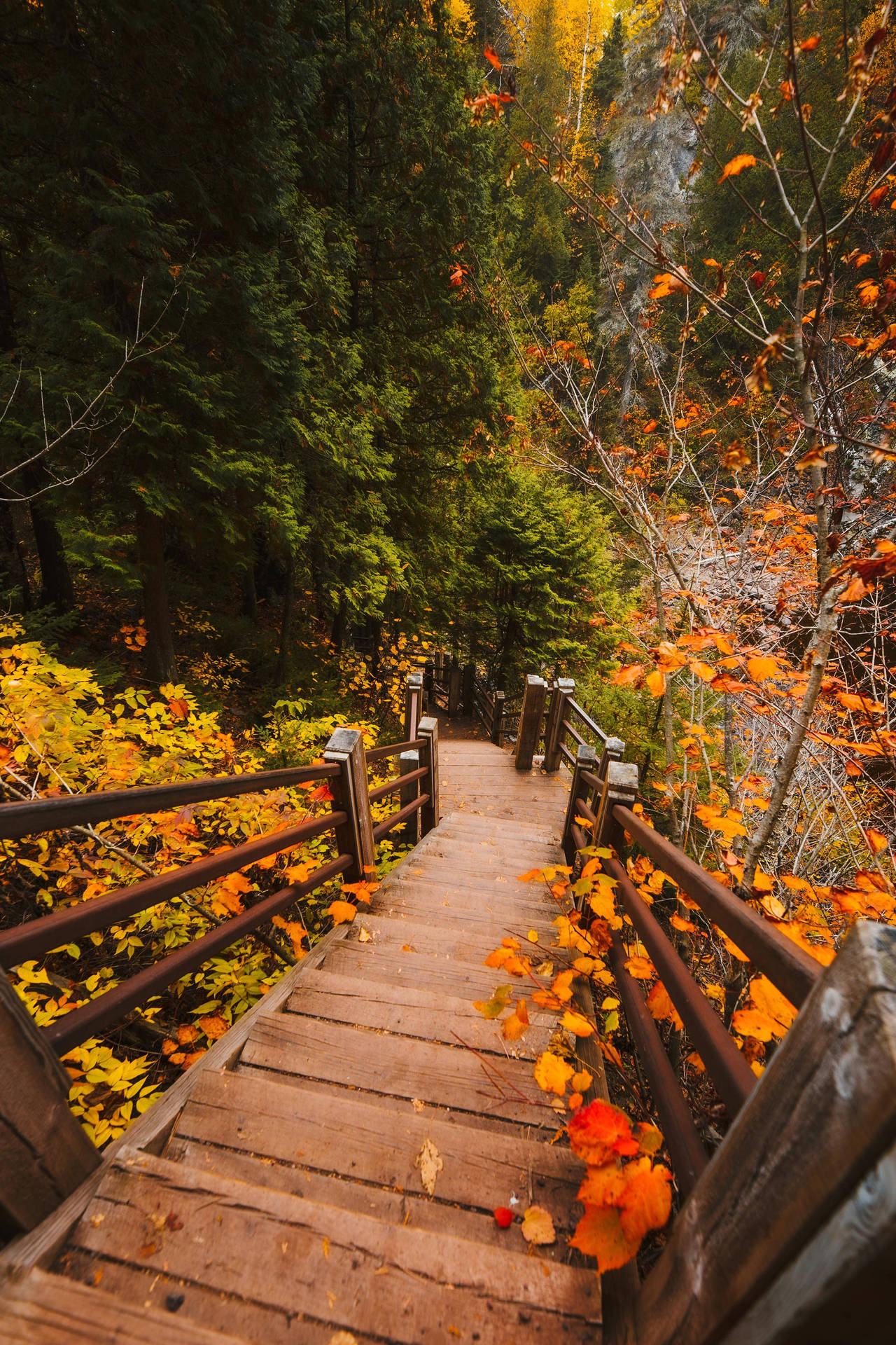Cute Fall Aesthetic Visual Of Stairway Background