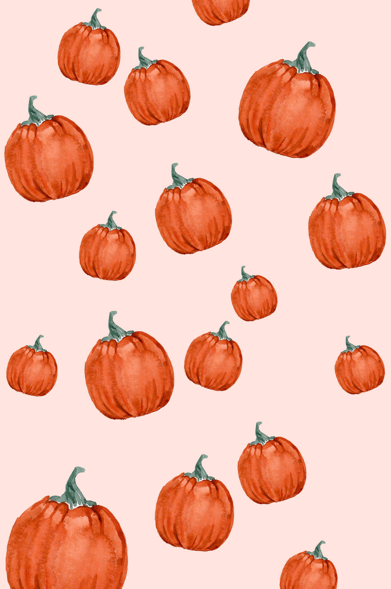 Cute Fall Peach Pumpkins Background