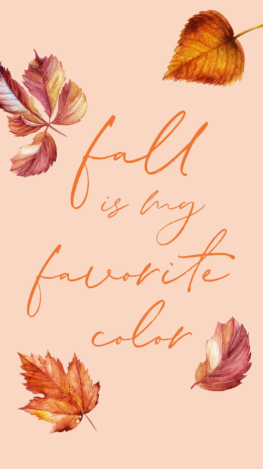 Cute Fall Phone 1080 X 1920 Background