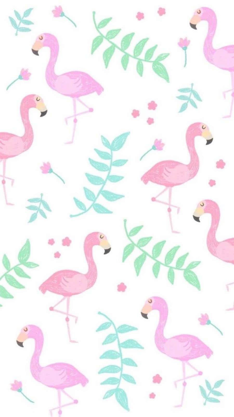 Cute Flamingo Birds Girly Tumblr