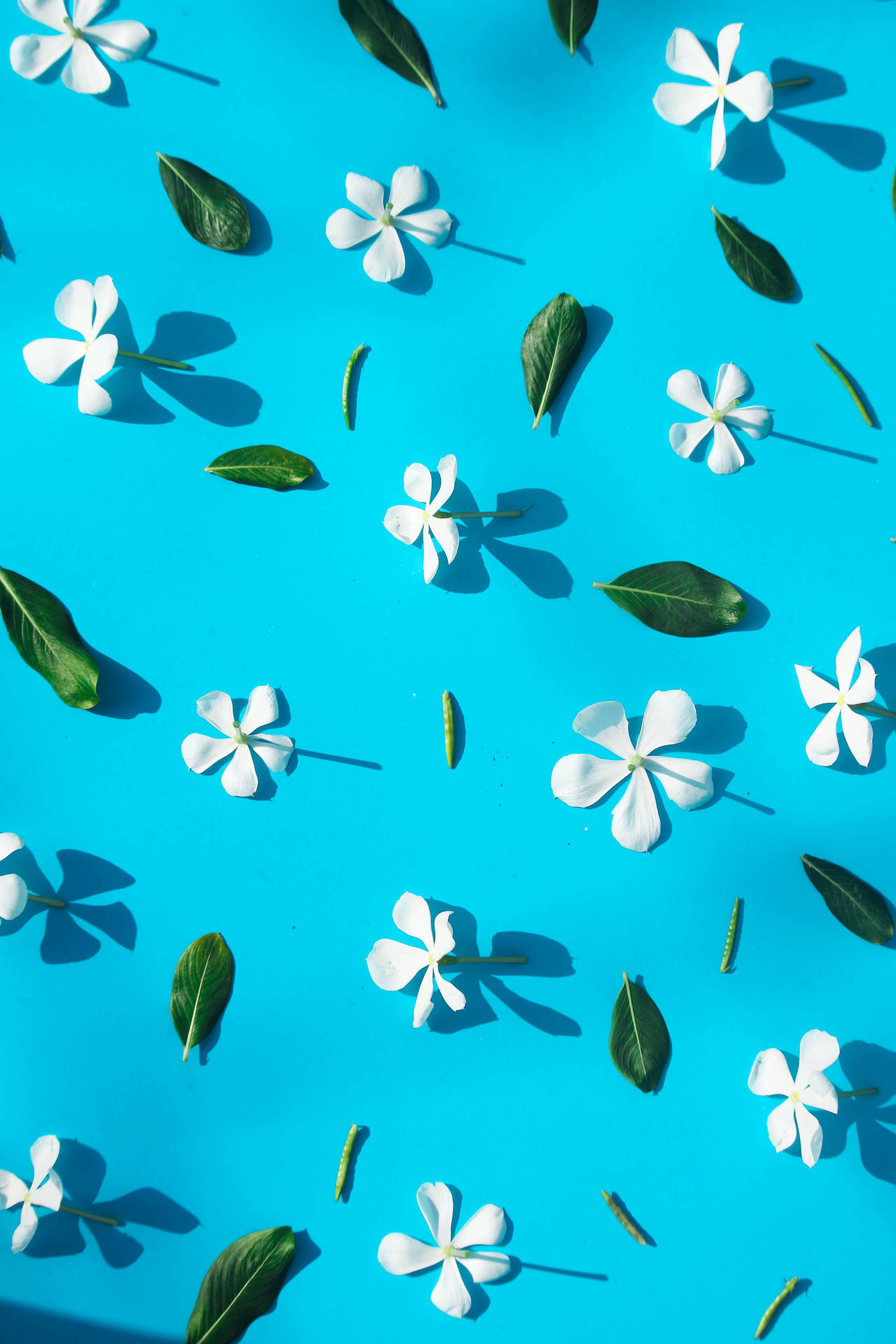 Cute Floral Blue And White Background