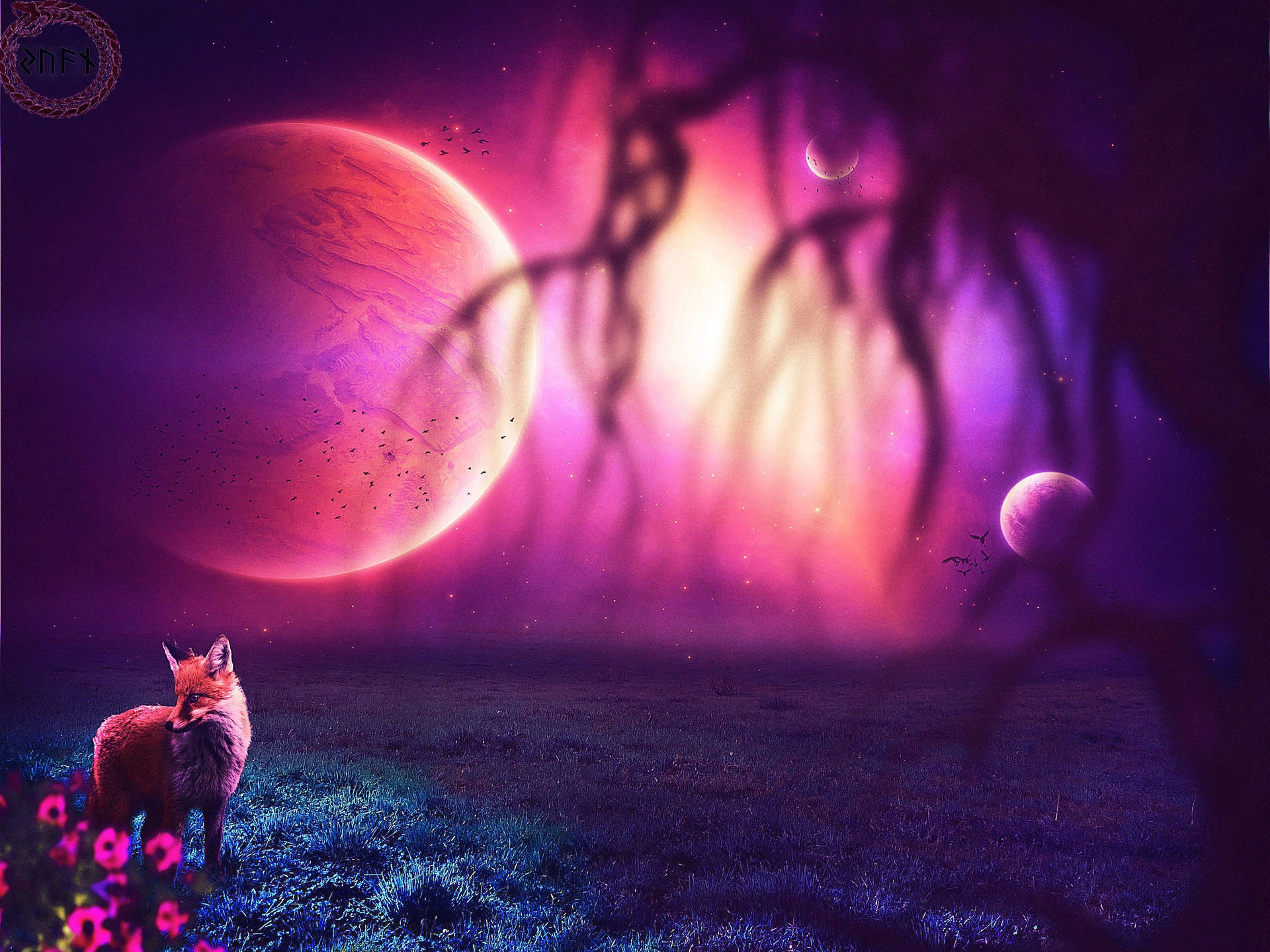 Cute Fox Under The Moon Background