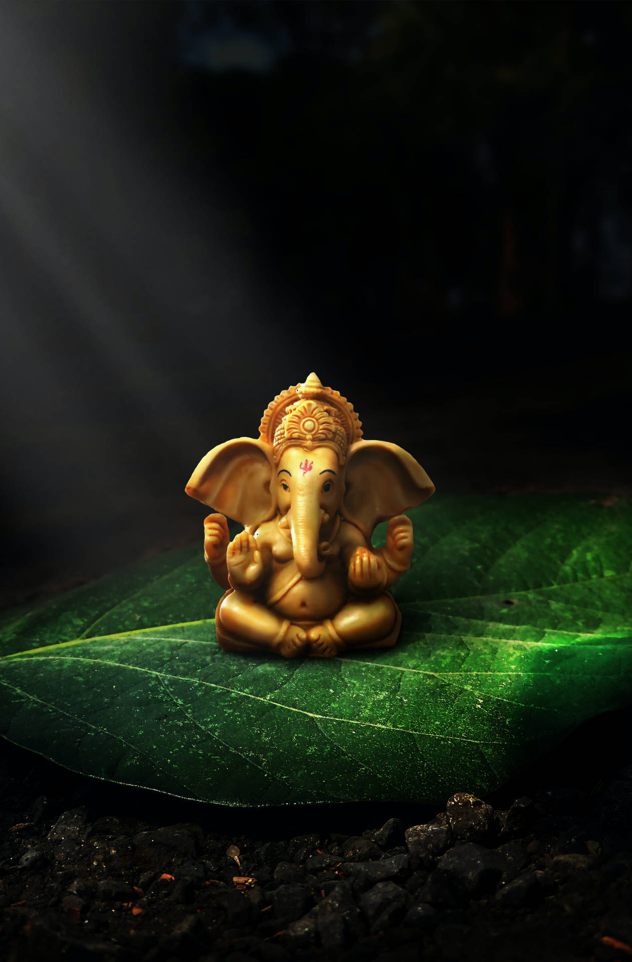 Cute Ganesha On Leaf Background