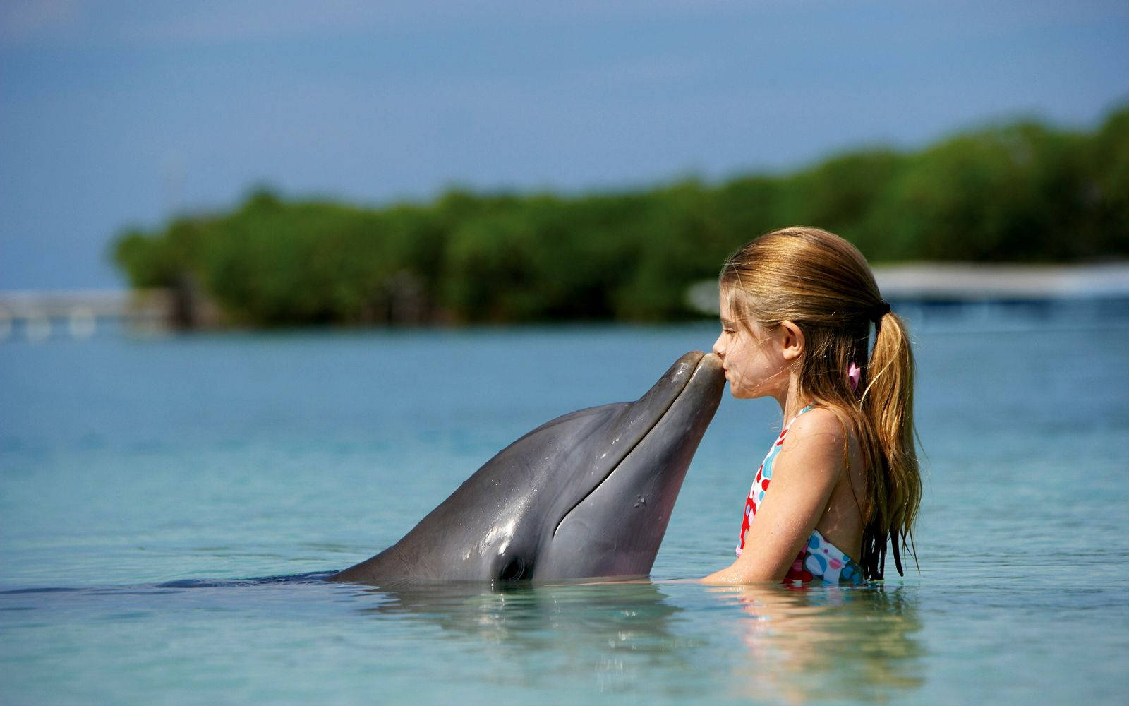 Cute Girl And Dolphin Background