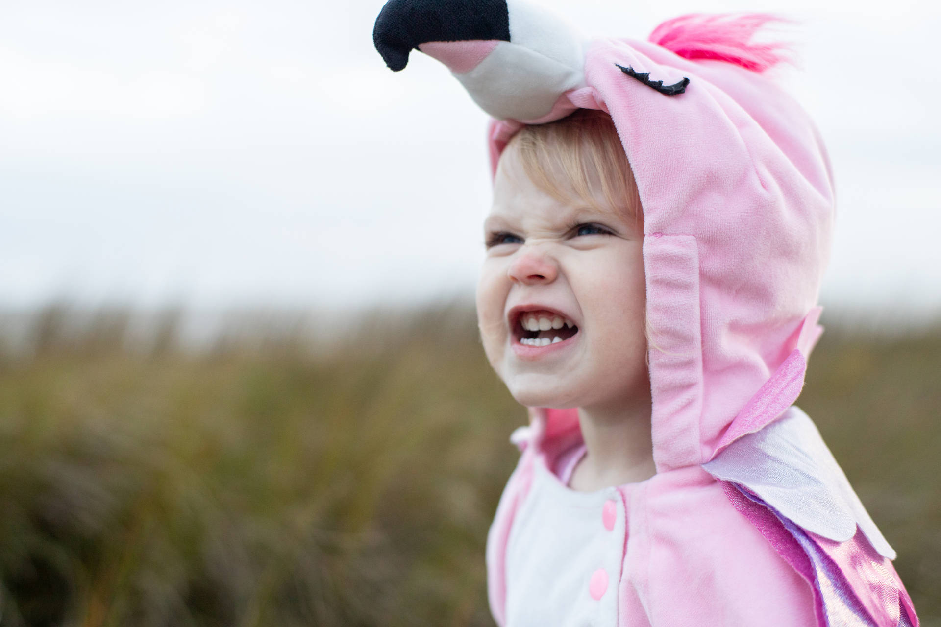 Cute Girl In Pink Flamingo Onesie