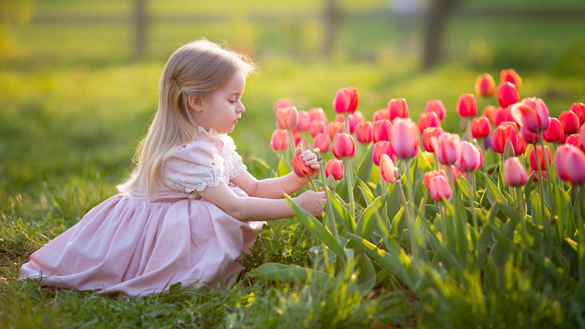 Cute Girl Pink Tulips Background