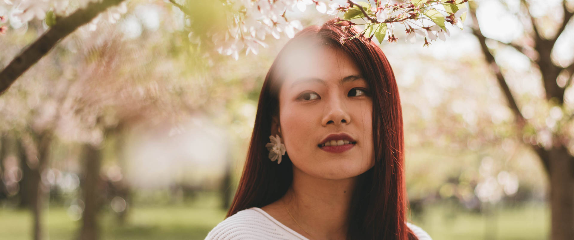 Cute Girl Under Pink Blossoms Background