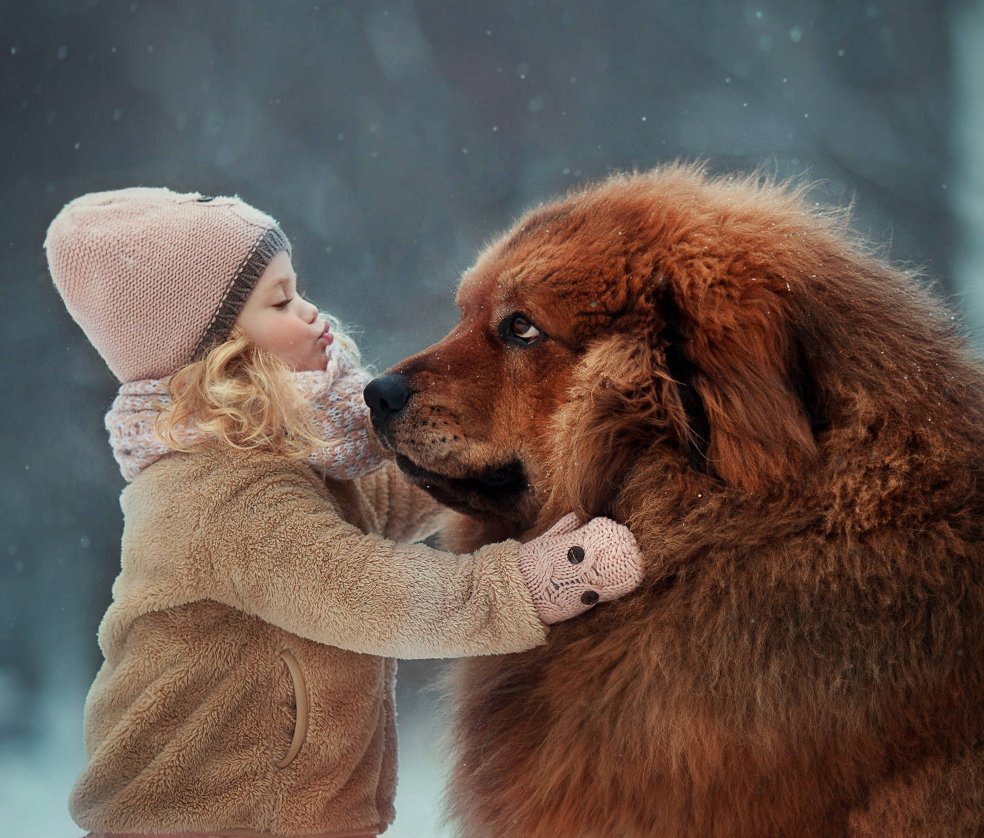 Cute Girl With Big Brown Dog