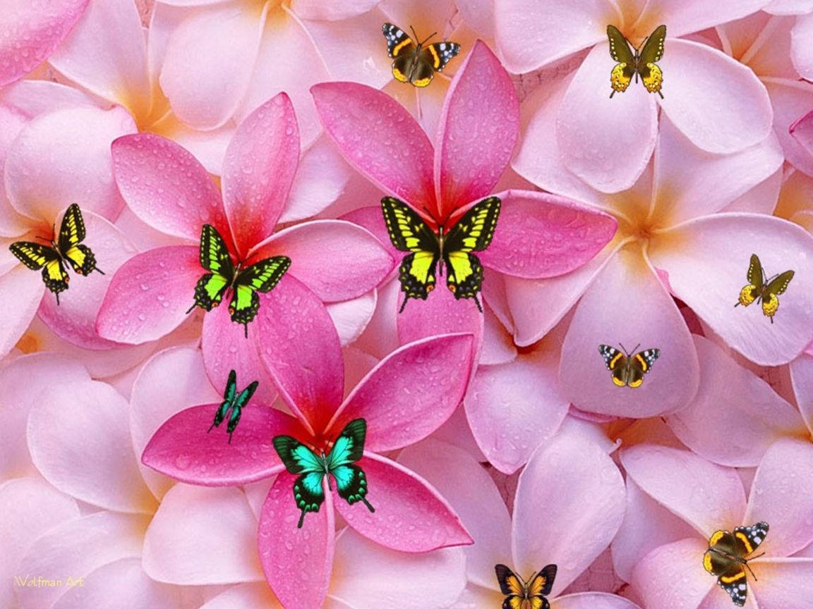 Cute Girly Flowers And Butterflies Background