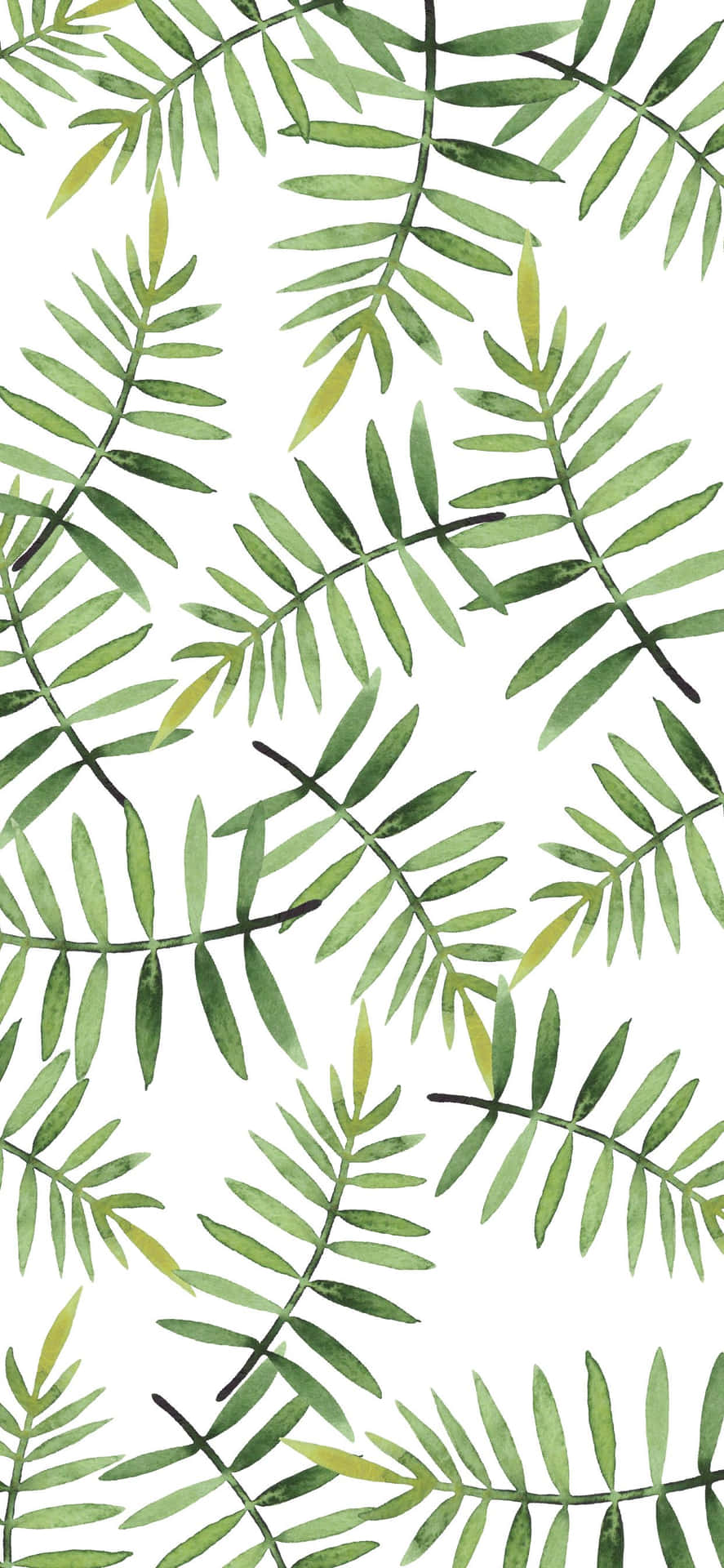 Cute Green Palm Fern Leaves Background