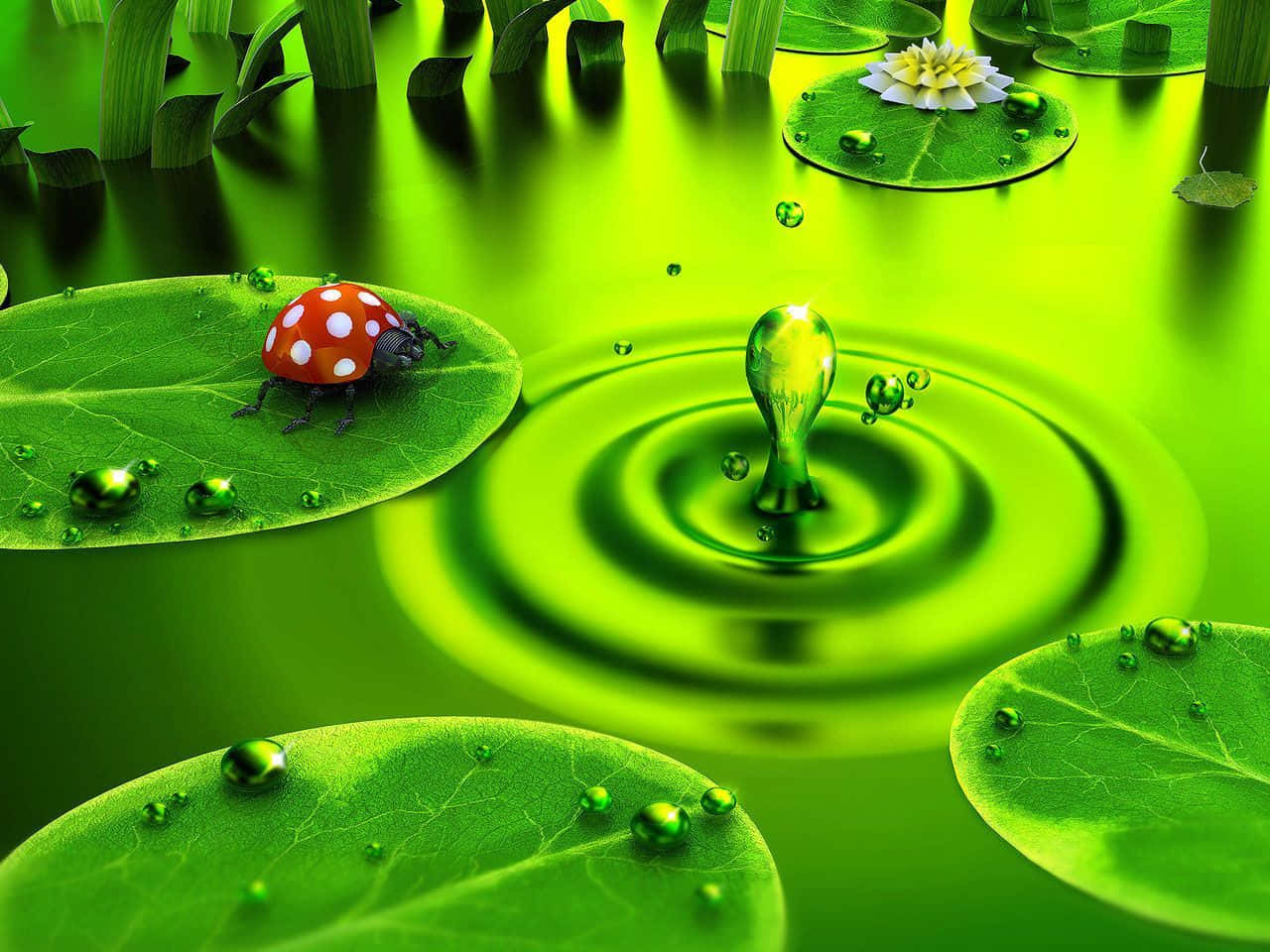 Cute Green Pon Ladybug Background