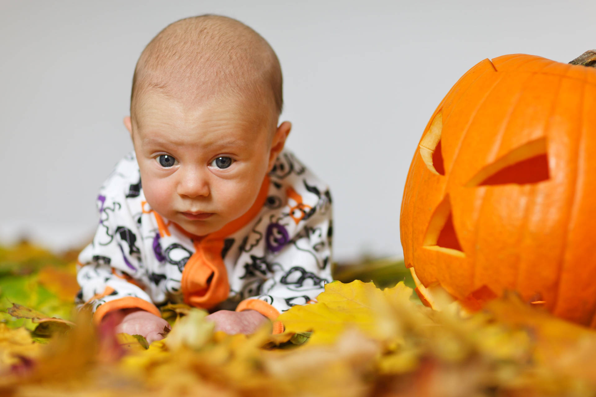 Cute Halloween Baby Background