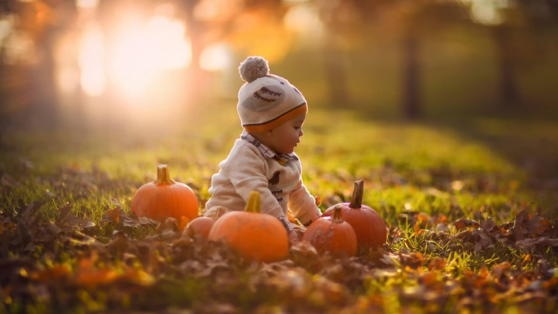 Cute Halloween Baby In Park Background