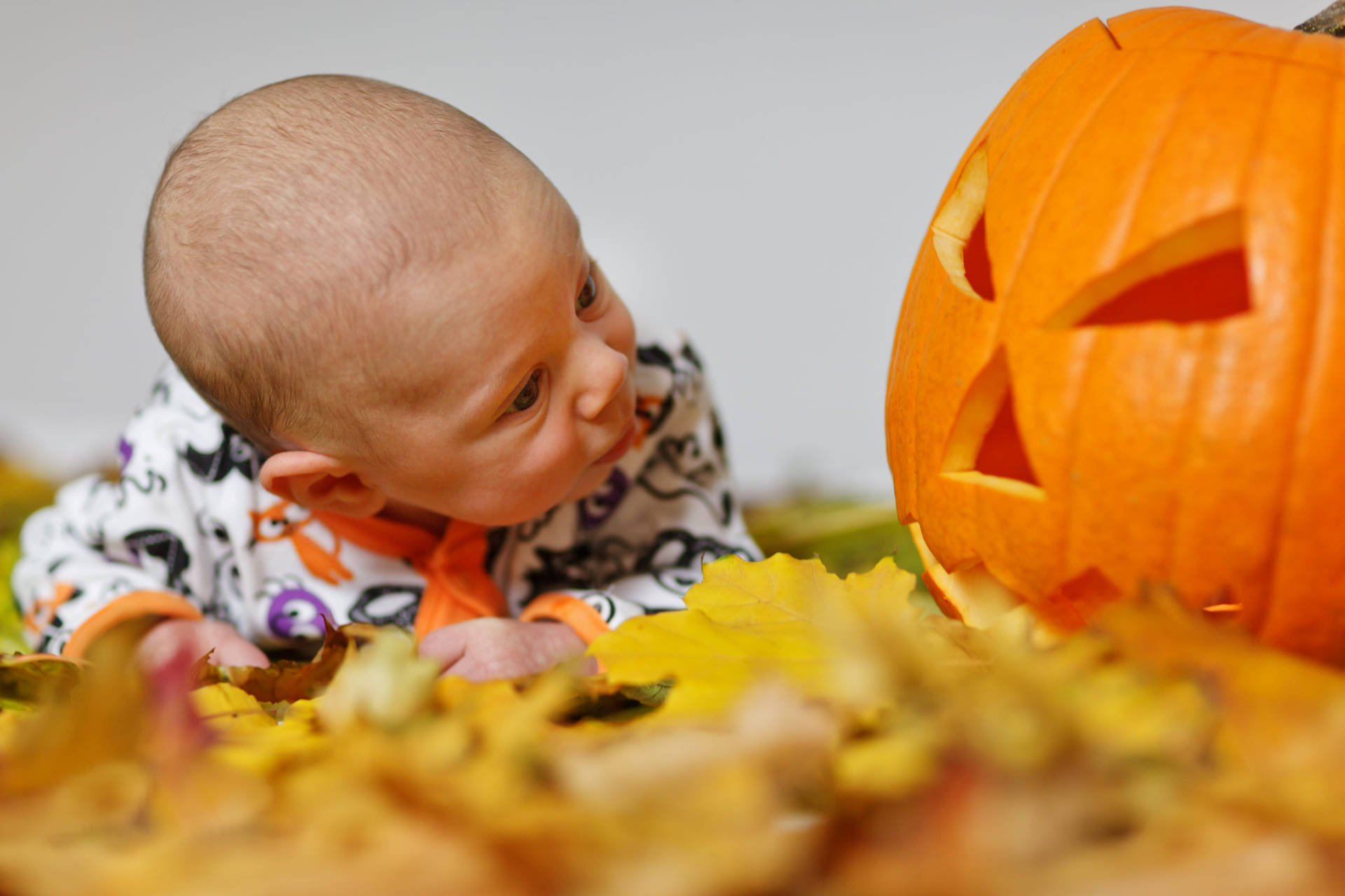 Cute Halloween Baby Pumpkin Gaze