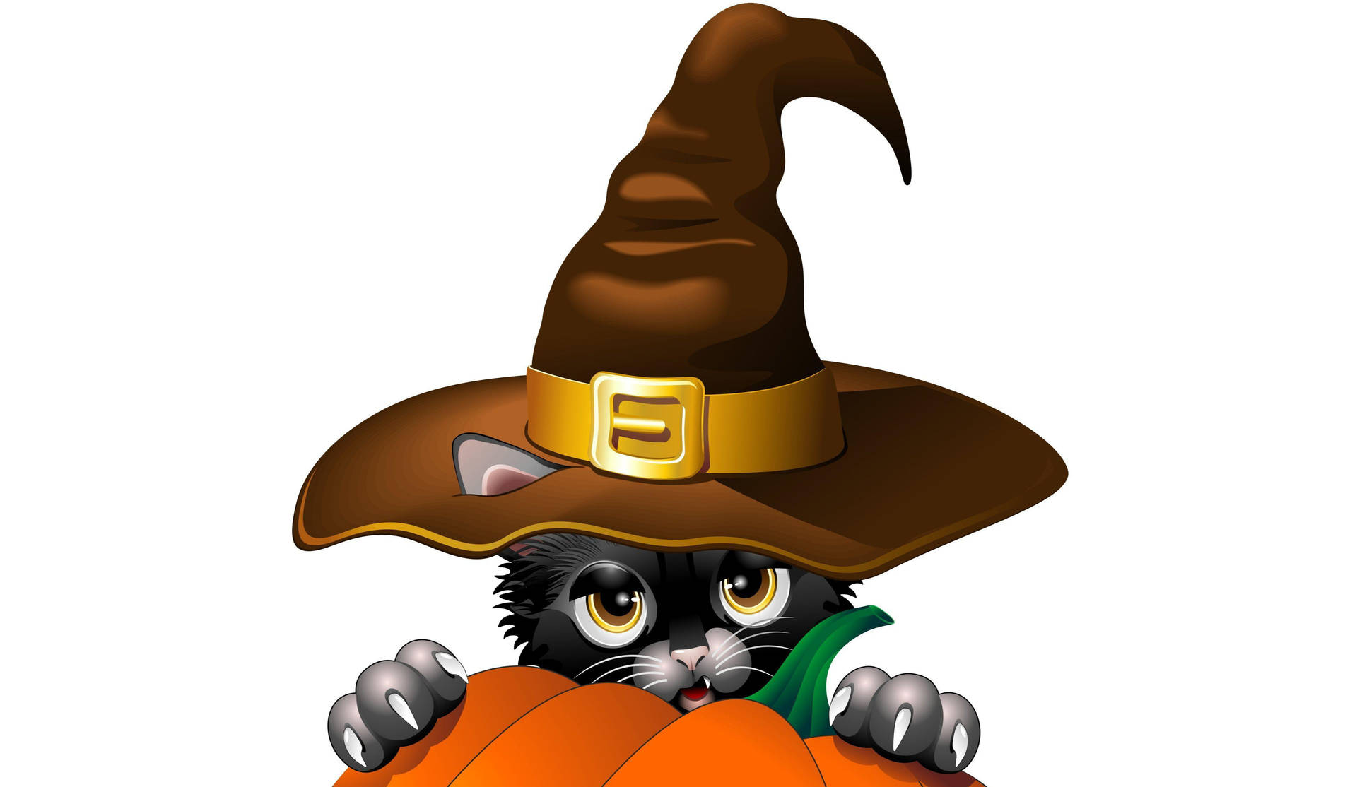 Cute Halloween Cat Over Pumpkin Background