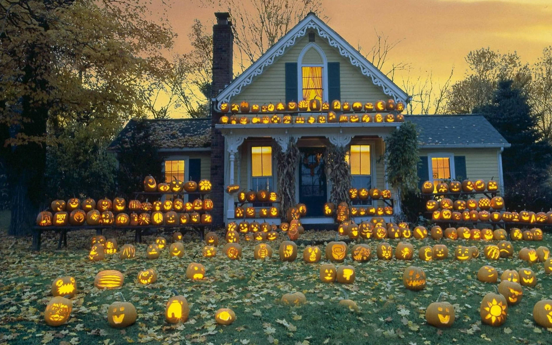 Cute Halloween House Jack O' Lanterns