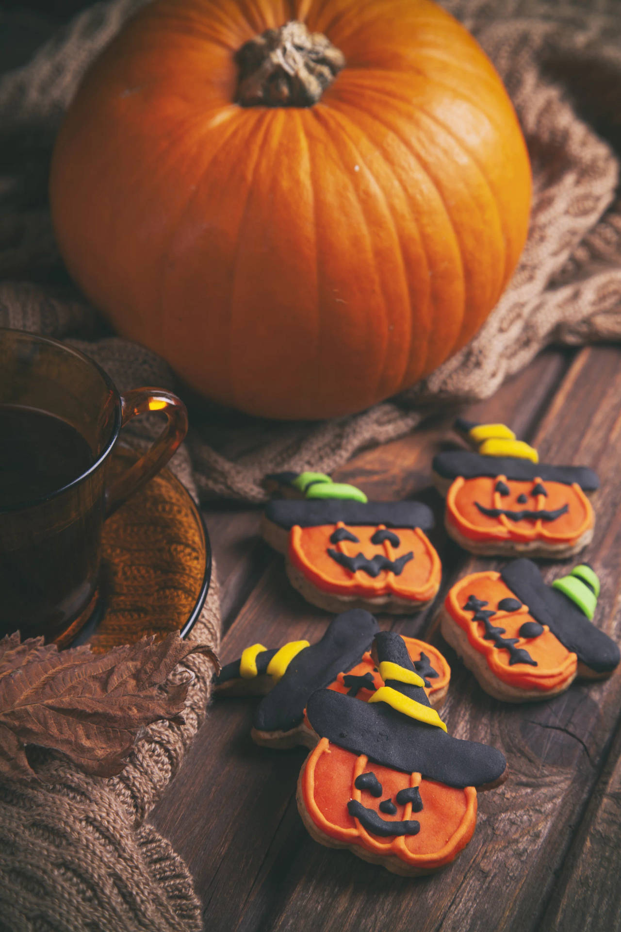 Cute Halloween Iphone Pumpkin Witch Background