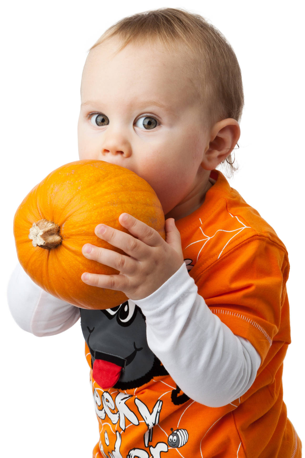 Cute Halloween Little Boy With Pumpkin