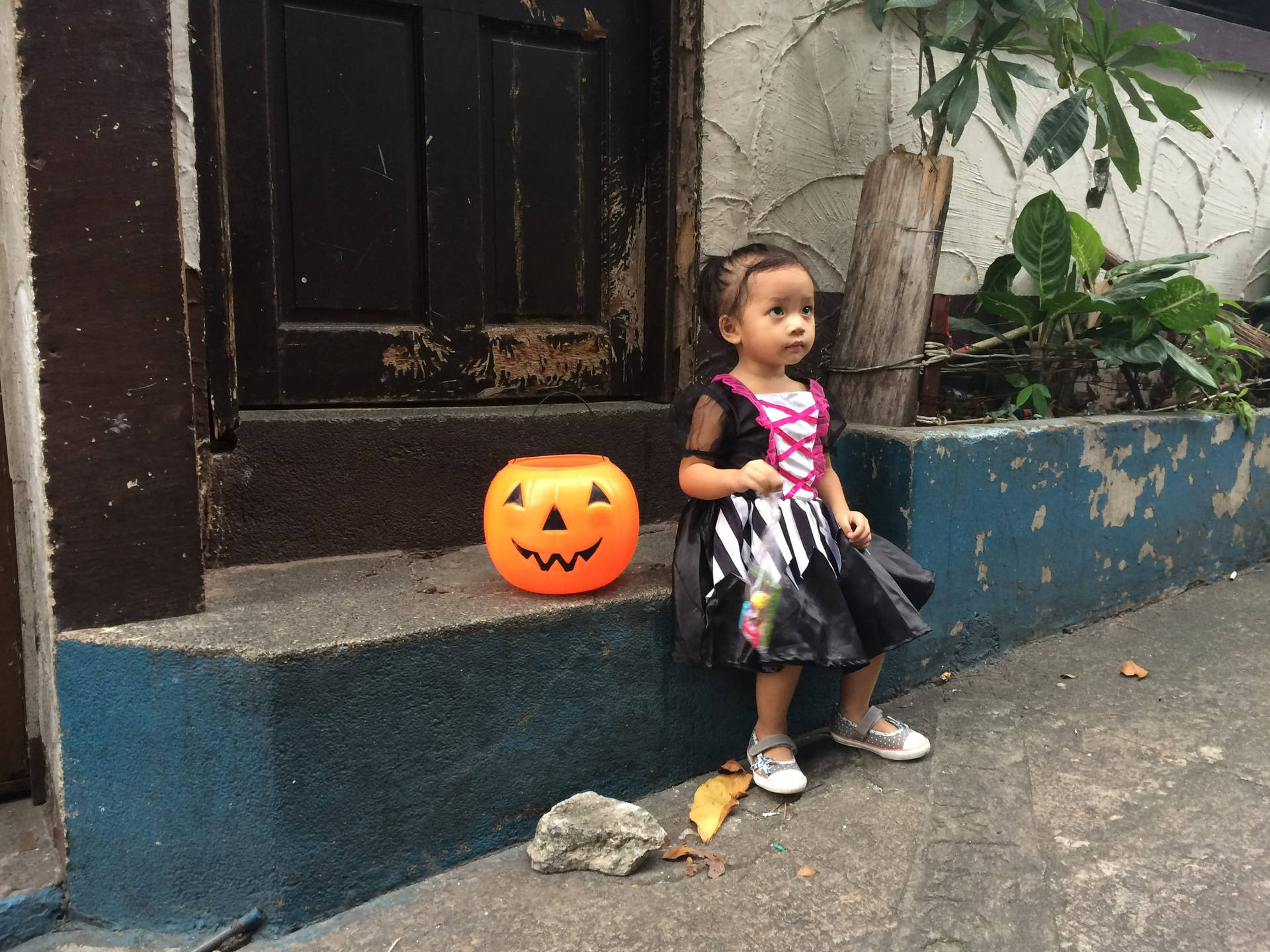 Cute Halloween Little Girl