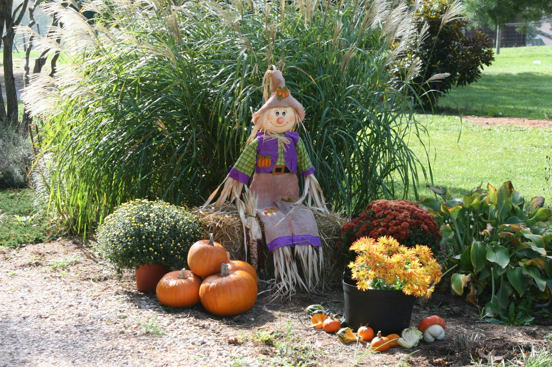 Cute Halloween Scarecrow