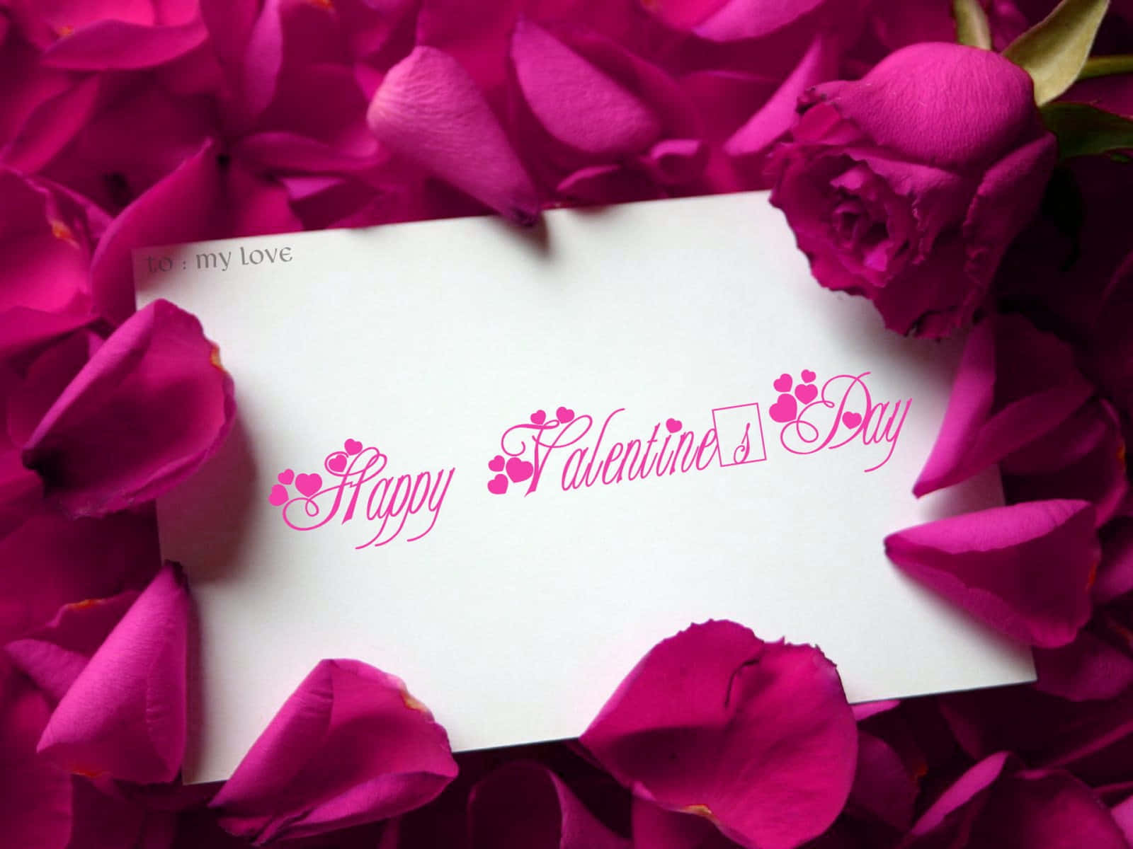 Cute Happy Valentine Day Card Background