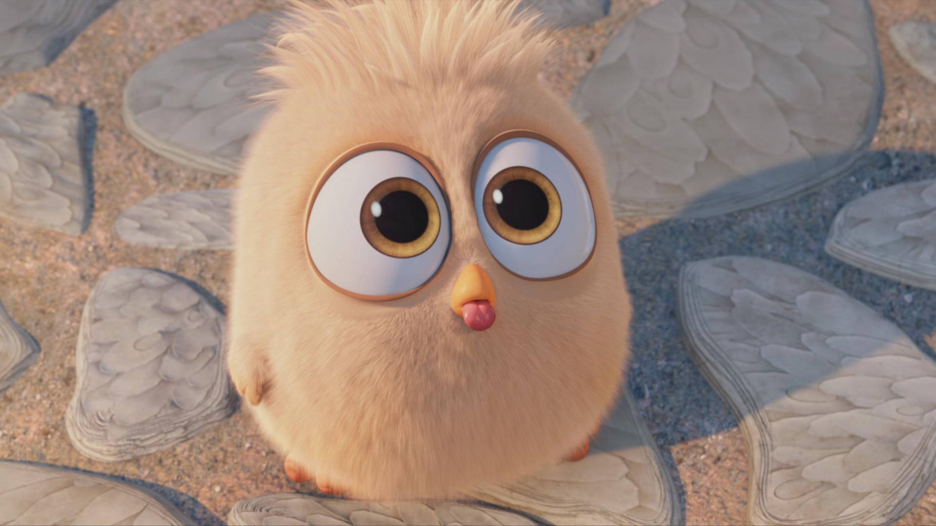 Cute Hatchling From The Angry Birds Movie Background