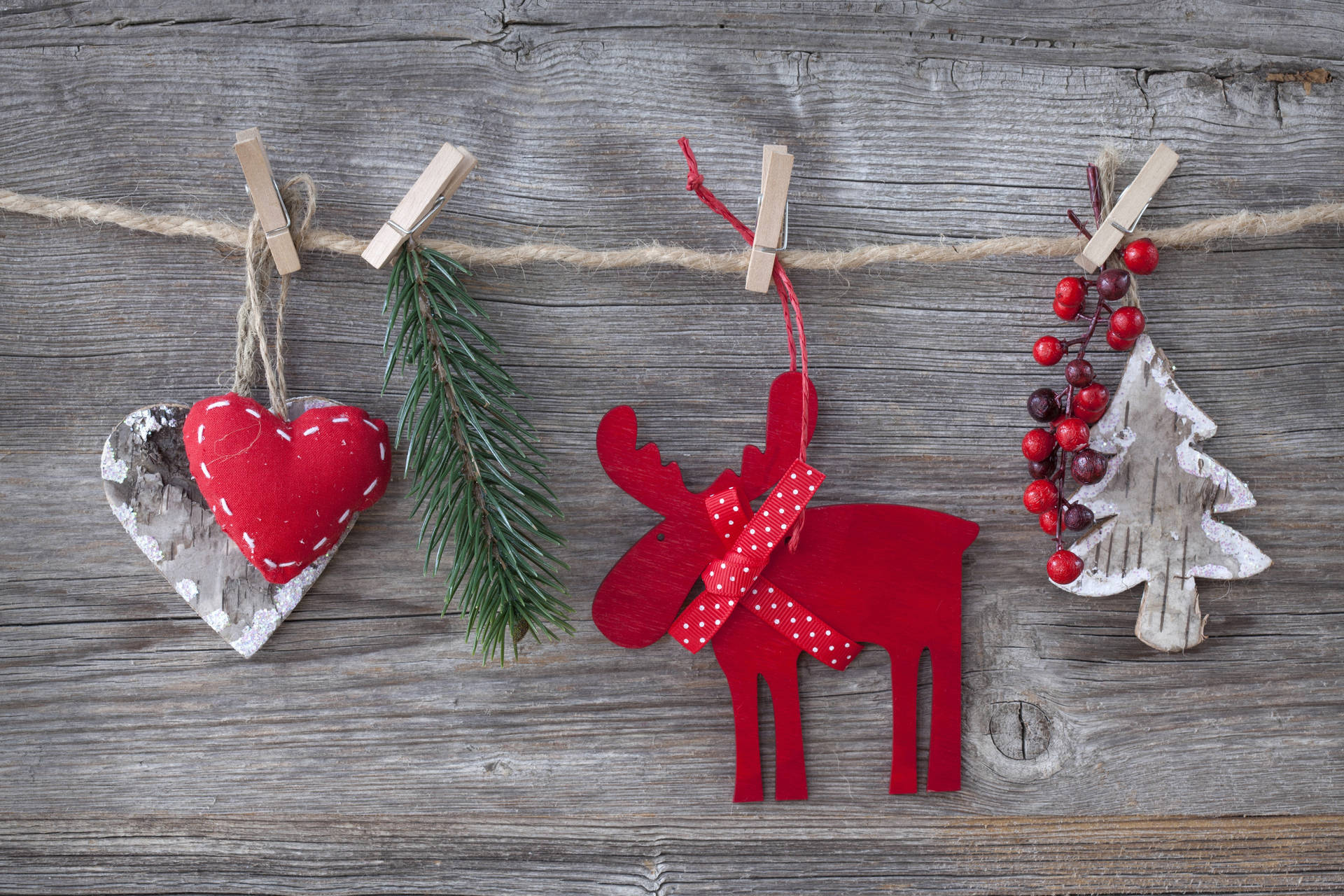 Cute High Resolution Christmas Moose Background