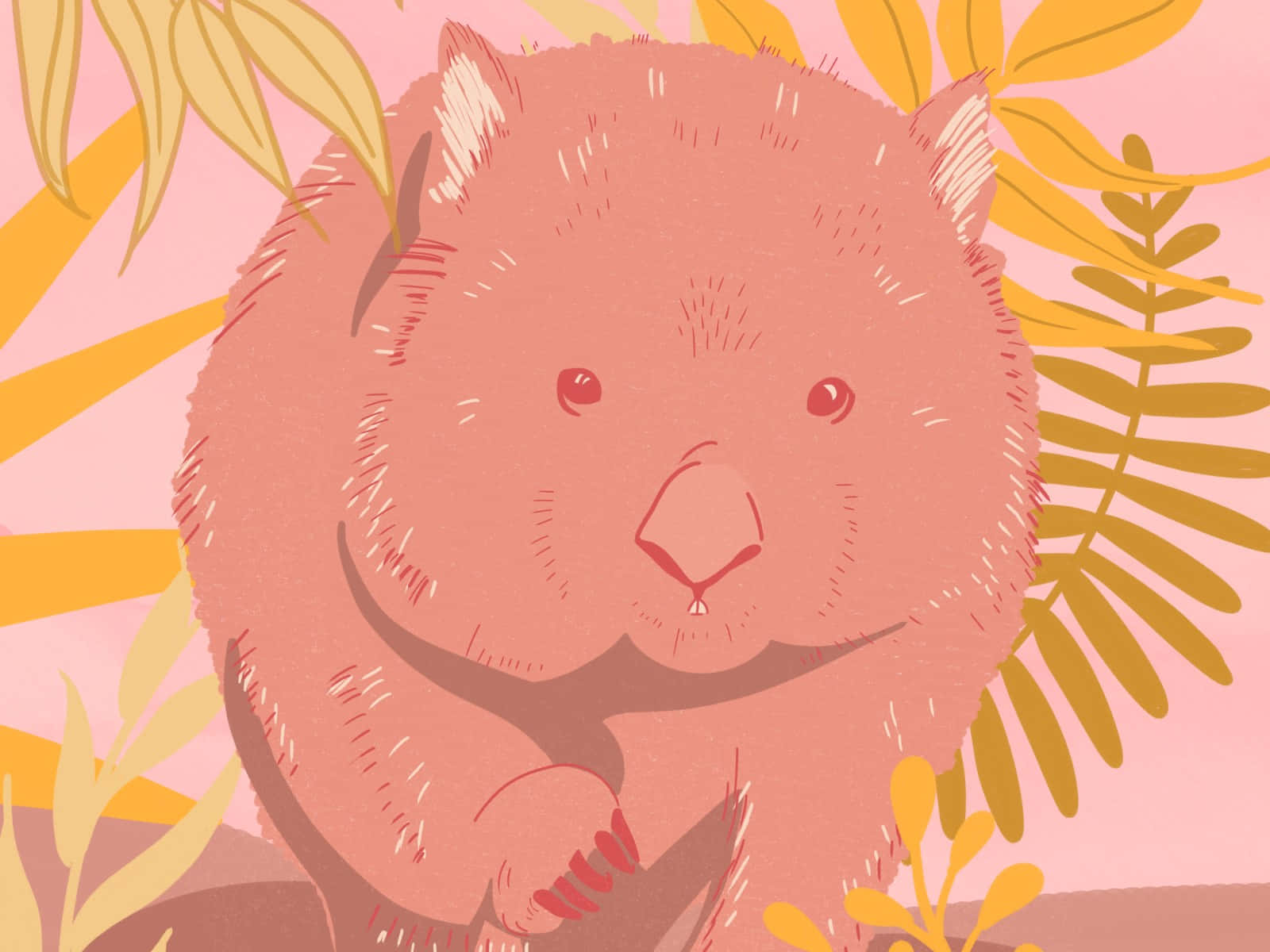 Cute Illustrated Wombat Background