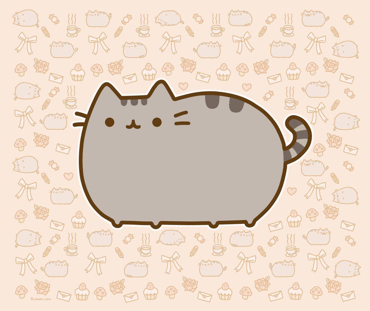 Cute Ipad Pusheen Cat