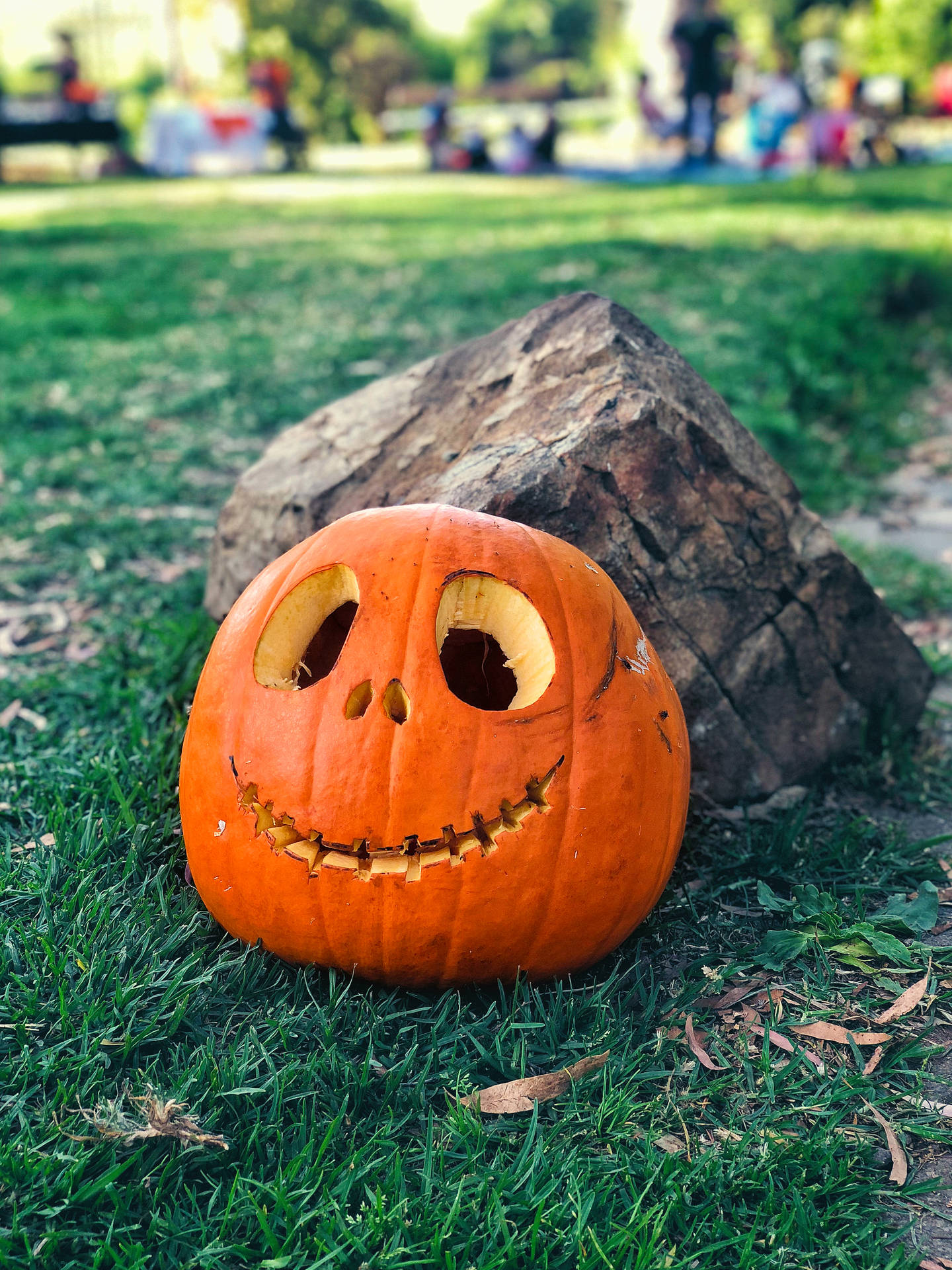 Cute Jack-o'-lantern Pumpkin Background
