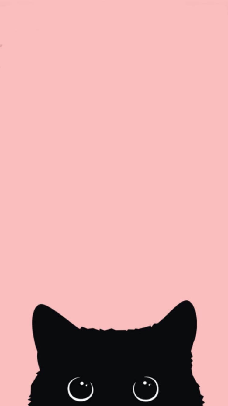 Cute Kawaii Cat Pink Background