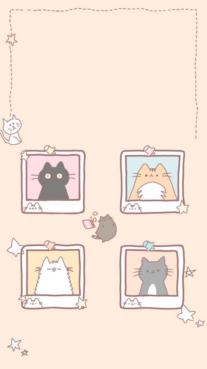 Cute Kawaii Cat Polaroid