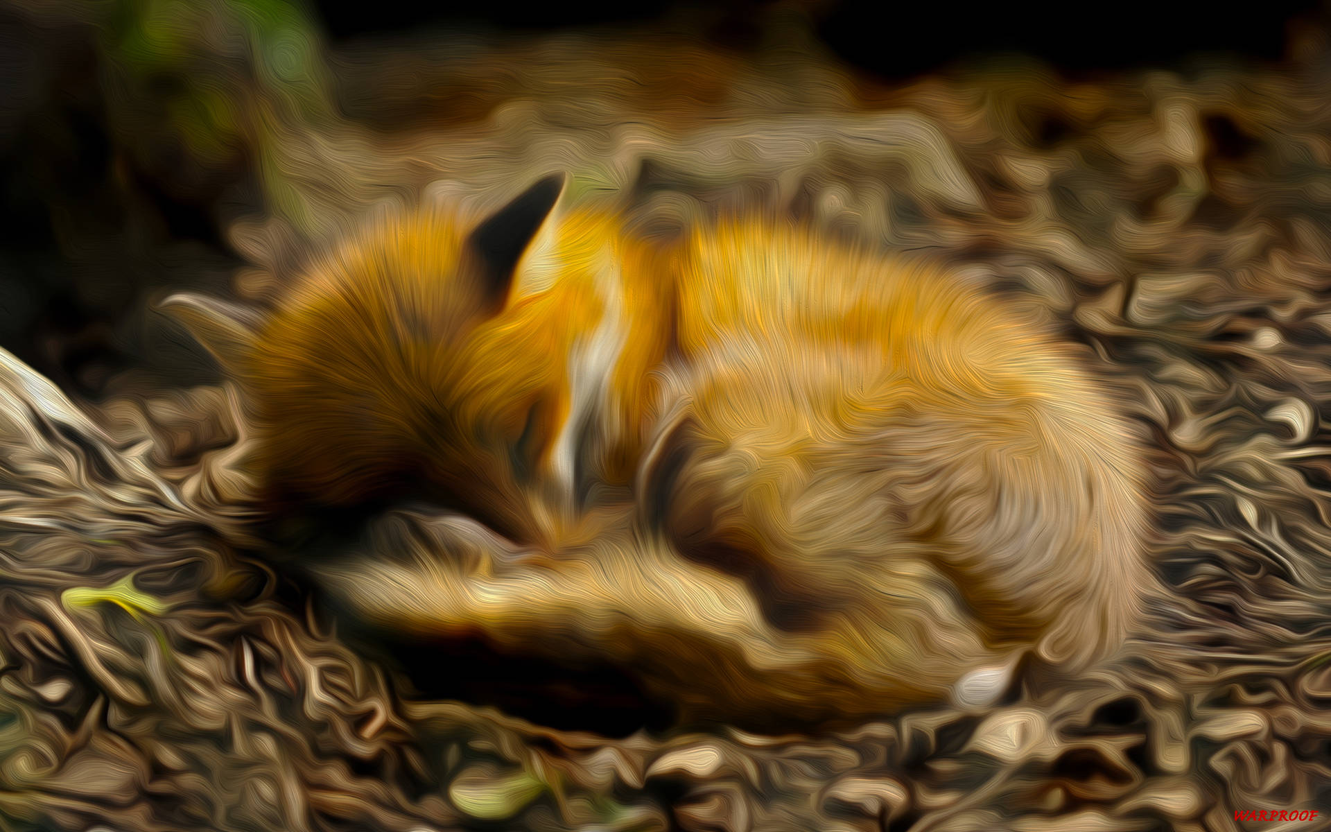 Cute Kawaii Fox Art Background