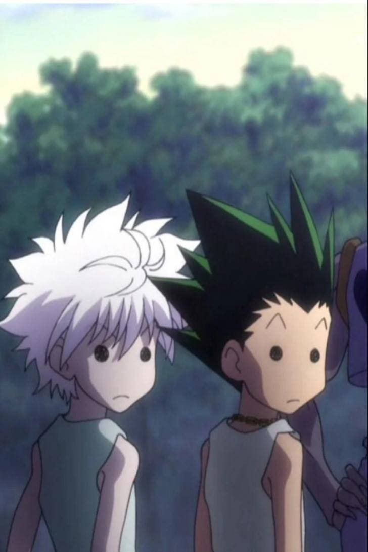 Cute Killua And Gon Looking Funny Background