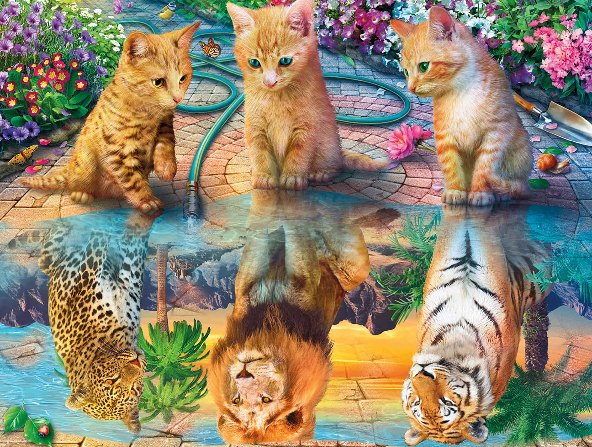 Cute Kittens Looking At Their Reflection Background