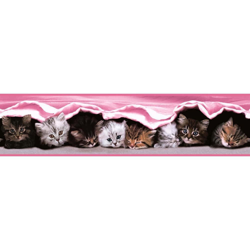 Cute Kittens Underneath Pink Blanket