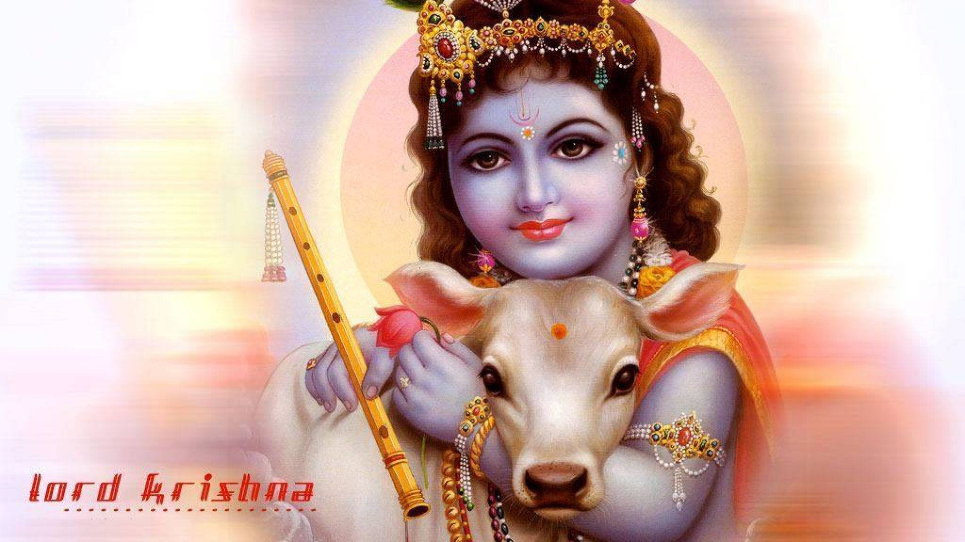 Cute Krishna With A Lamb Background