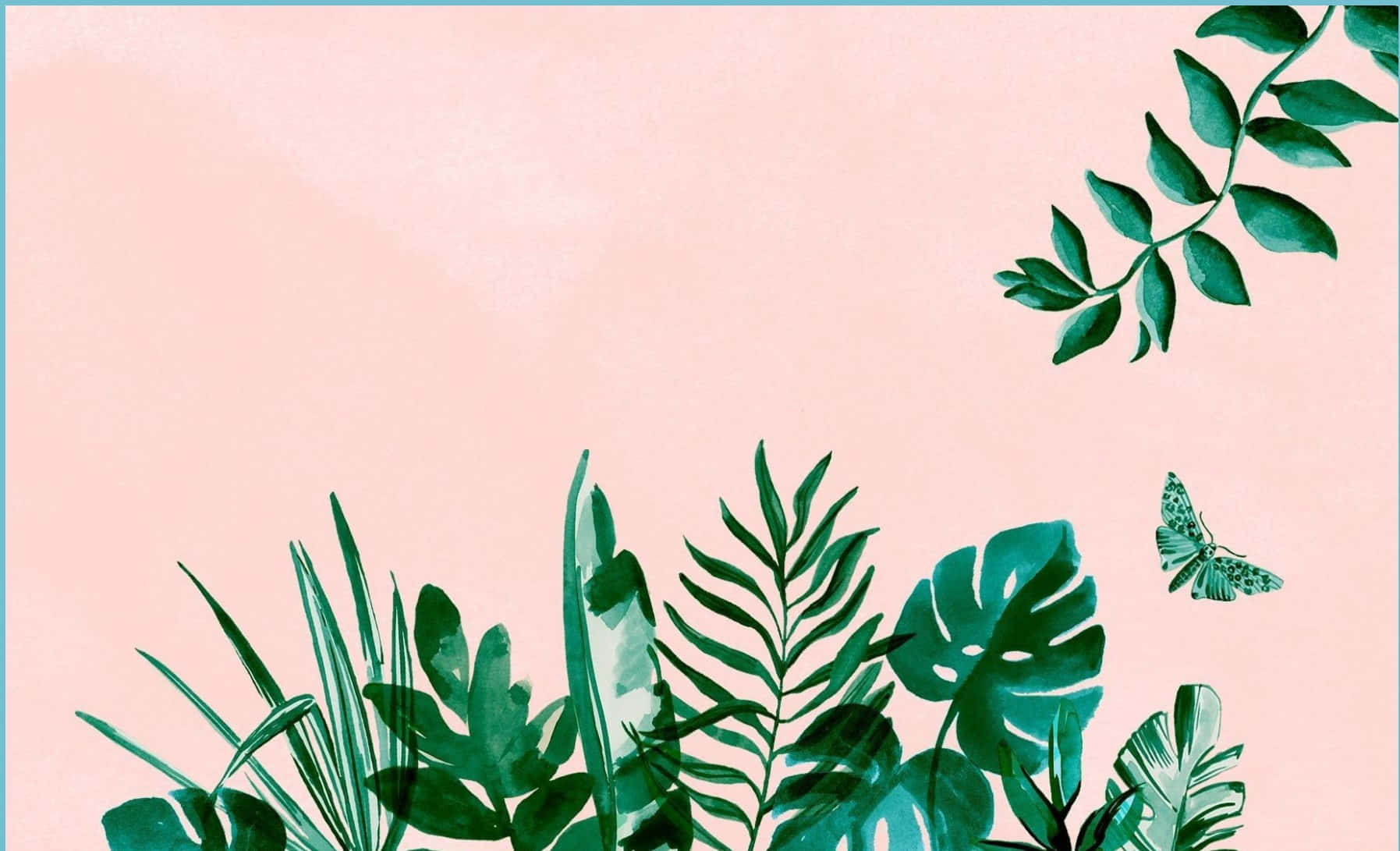 Cute Leaves Indoor Plants Background