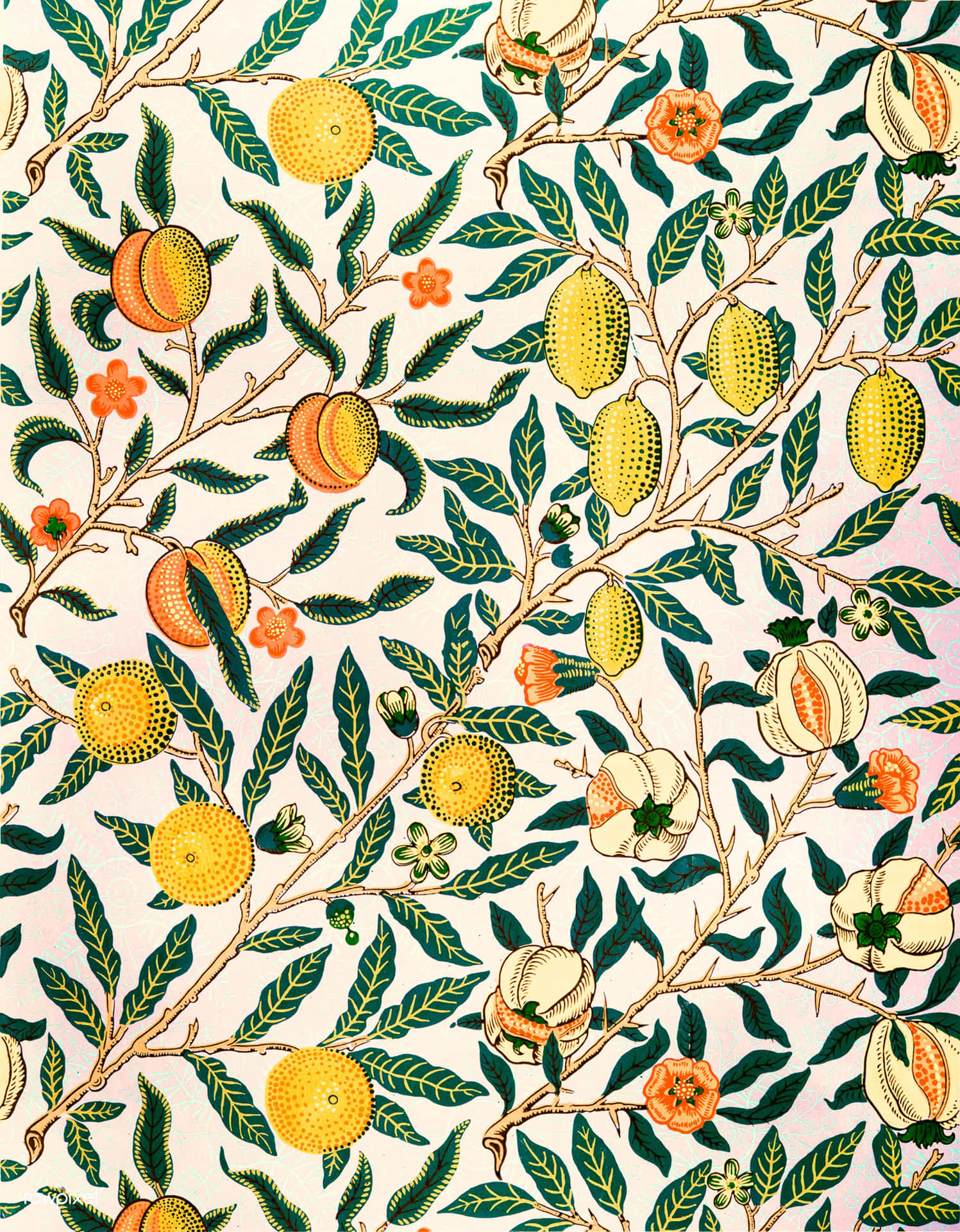 Cute Leaves With Fruits And Flowers Background