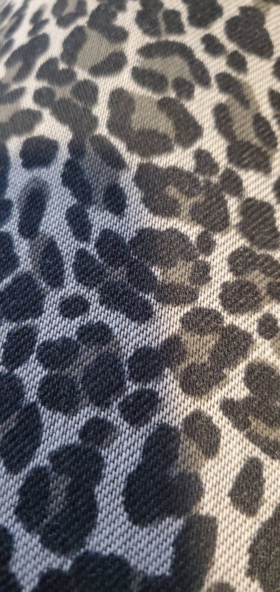 Cute Leopard Print On Fabric Background