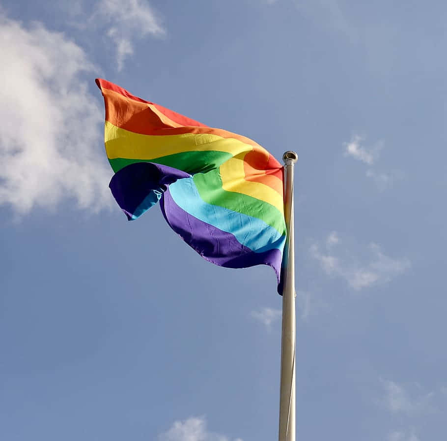 Cute Lgbt Flag On A Pole Background