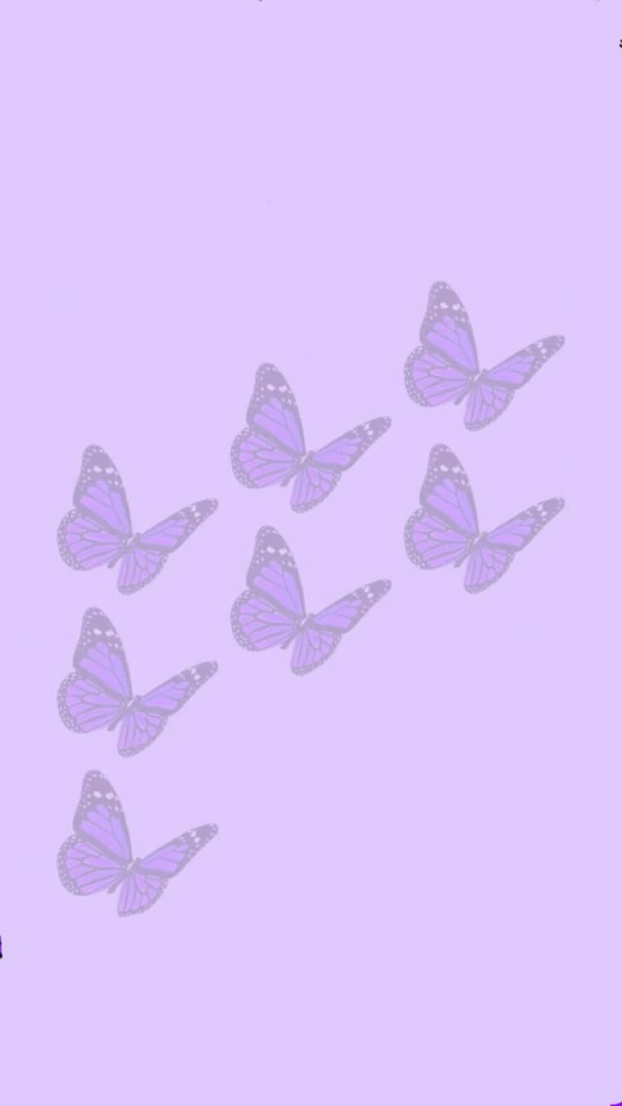 Cute Light Purple Butterflies Background