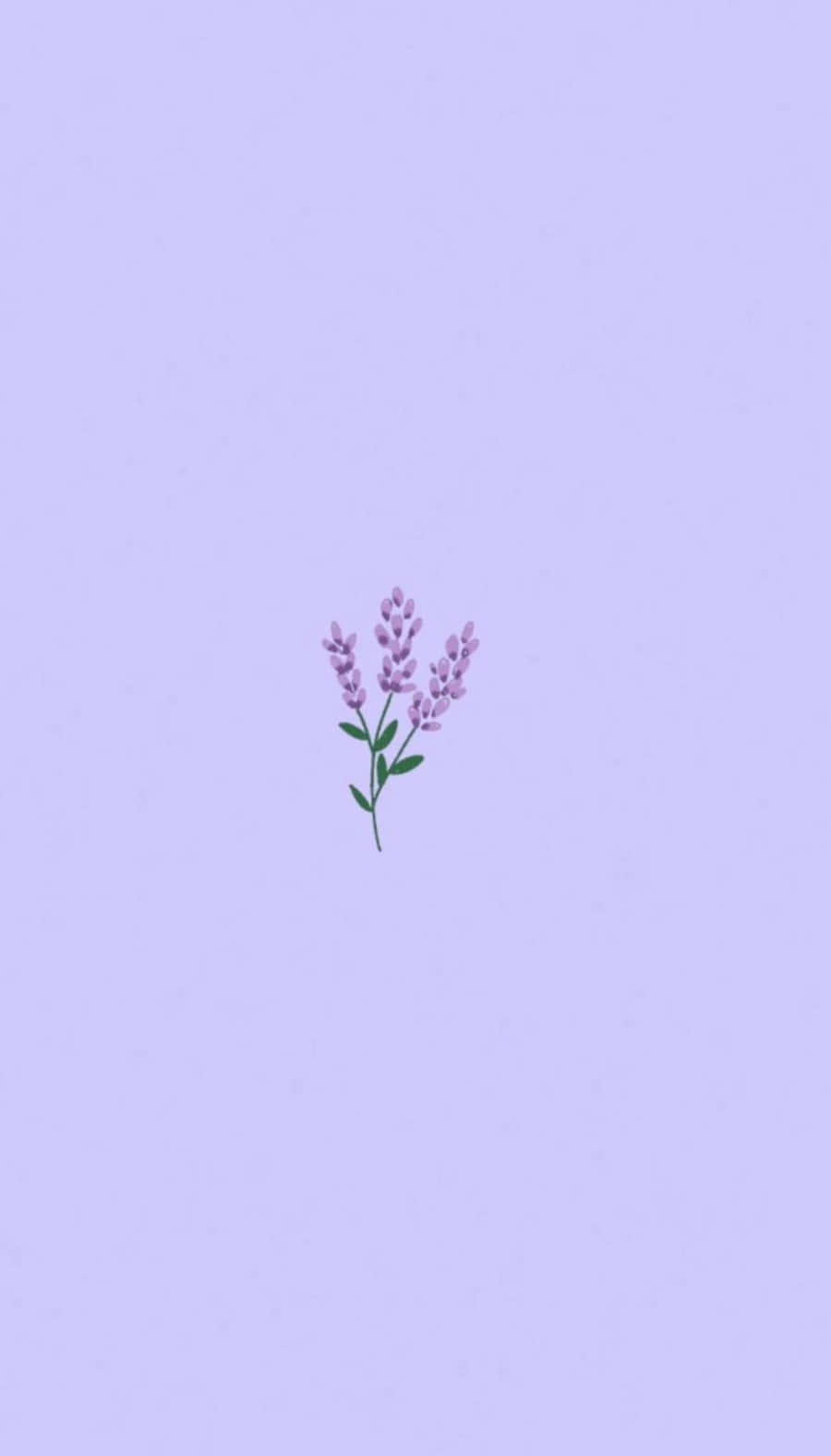Cute Light Purple Lilac Background